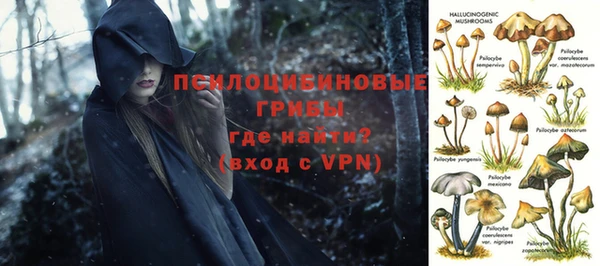 соль ск Абаза