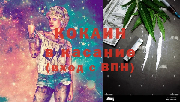 соль ск Абаза