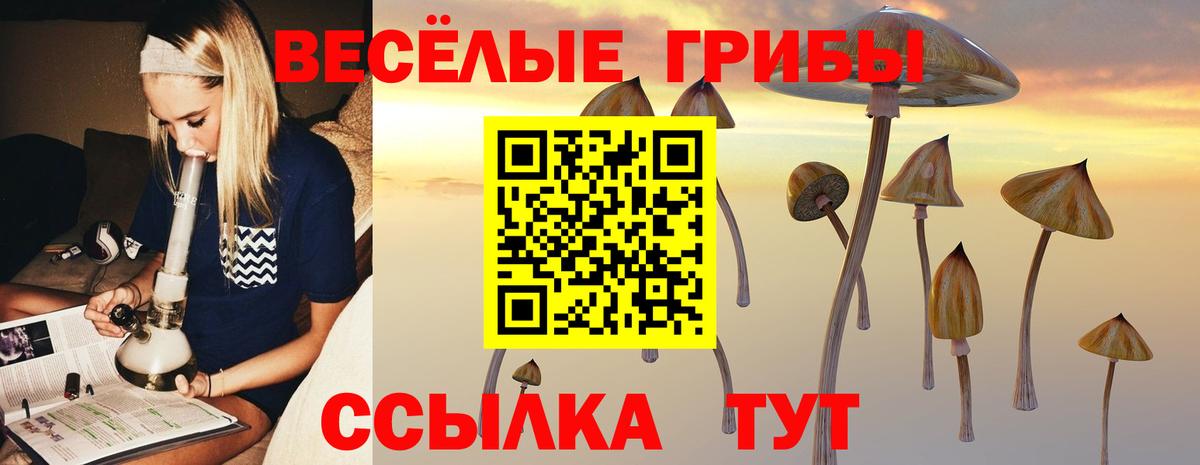 Юрга  Псилоцибиновые грибы GOLDEN TEACHER  Вход с VPN 